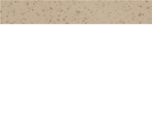 NTP 1211 quartz model