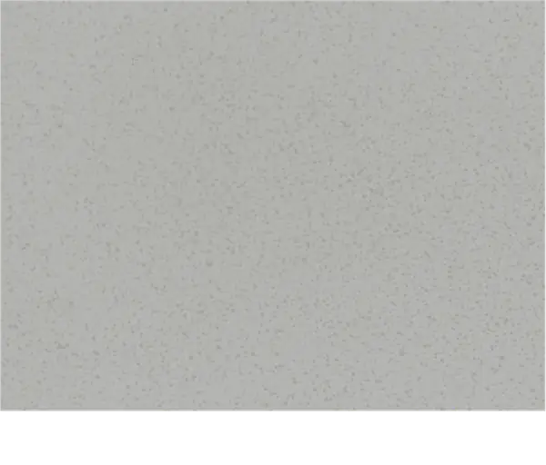 NTP 1613 quartz model