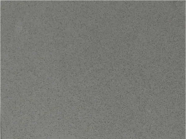 NTP 1615 quartz model