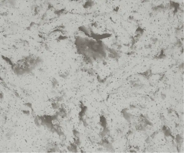 NTP 1621 quartz model